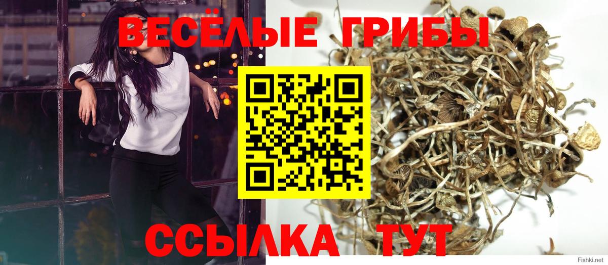 Псилоцибиновые грибы ЛСД  Вход с VPN  купить закладку  Галлюциногенные грибы мицелий  Крымск 